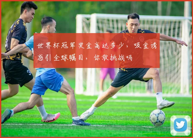 世界杯冠军奖金高达多少，吸金诱惑引全球瞩目，你敢挑战吗