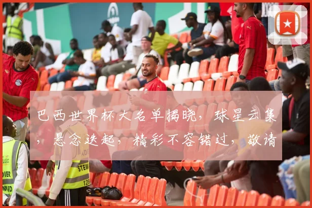 巴西世界杯大名单揭晓，球星云集，悬念迭起，精彩不容错过，敬请关注