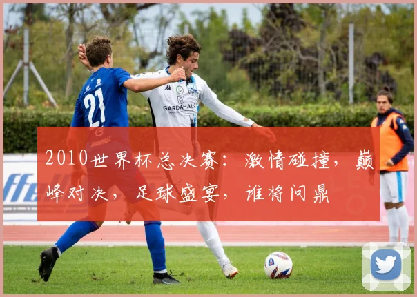 2010世界杯总决赛：激情碰撞，巅峰对决，足球盛宴，谁将问鼎