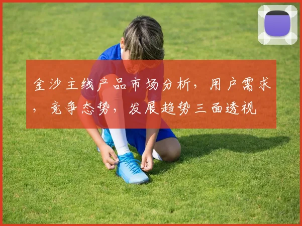 金沙主线产品市场分析，用户需求，竞争态势，发展趋势三面透视