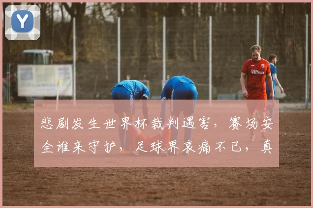 悲剧发生世界杯裁判遇害，赛场安全谁来守护，足球界哀痛不已，真相待查逗