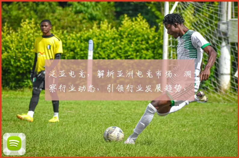 泛亚电竞，解析亚洲电竞市场，洞察行业动态，引领行业发展趋势，三重聚焦，一网打尽