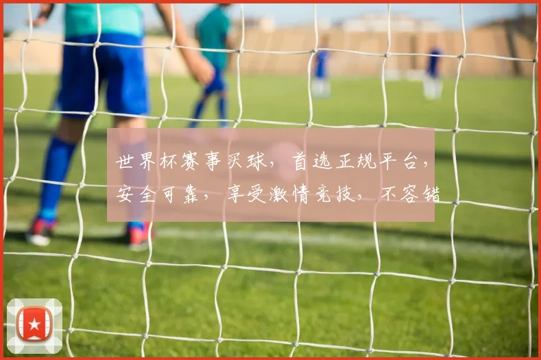 世界杯赛事买球，首选正规平台，安全可靠，享受激情竞技，不容错过