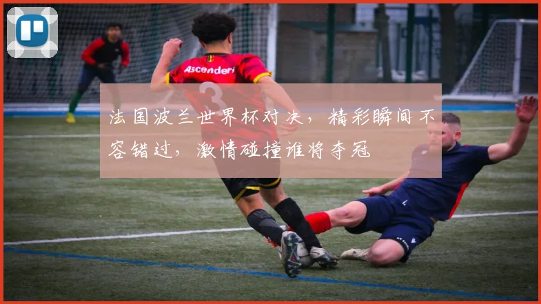 法国波兰世界杯对决，精彩瞬间不容错过，激情碰撞谁将夺冠